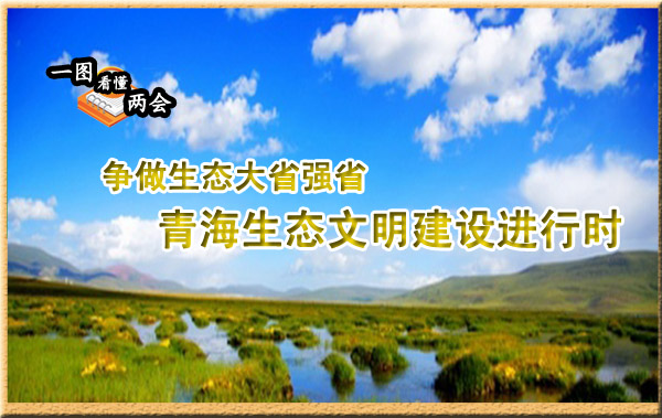 一圖看懂兩會：青海生態(tài)文明建設(shè)進(jìn)行時(shí)