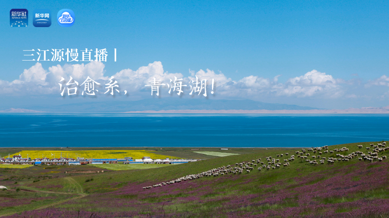 三江源慢直播丨治愈系，青海湖！